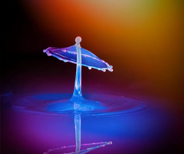 Abstract composition of fluid neon shapes